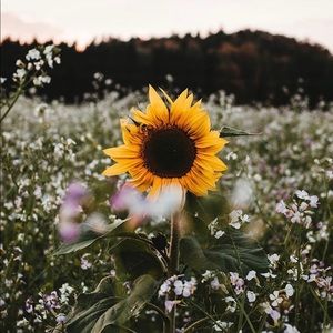 Meet your Posher, Kyndra